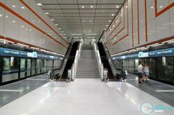 Apollo Gardens (D16), Terrace #469134781